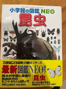 小学館の図鑑NEO昆虫