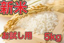 ★訳あり！ 送料込み！ 精米済 美味しい お米 白米 格安 お買い得！ 令和3年 山口県産 有機肥料 新米 5キロ★_画像1