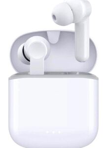 イヤホン ワイヤレス イヤホン 完全ワイヤレスイヤホン IPX7防水 Bluetooth 5.1 CVC8.0ノイズキャンセリンク
