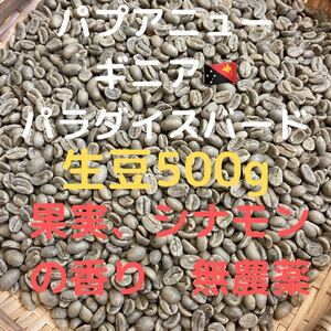 パプアニューギニア パラダイスバード生豆 500g匿名配送