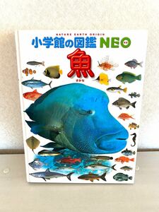 小学館の図鑑 NEO 魚