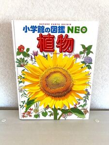 小学館の図鑑 NEO 植物