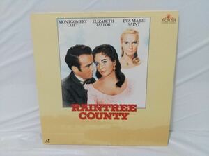 未DVD化 LD 2枚組 愛情の花咲く樹 Widescreen RAINTREE COUNTY モンゴメリー・クリフト エリザベス・テイラー 1957年 レーザーディスク