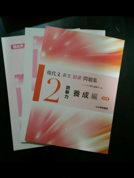 現代文　長文記述問題集　2読解力養成編　改訂版