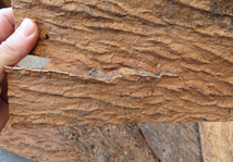 B等級品等級品　樹皮　コルク板　20×30ｃｍ（厚約10ｍｍ以下）３枚セット　洋蘭　原種　チランジア　エアープランツ　熱帯植物_画像2