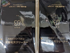 &ROSY 1月号 付録