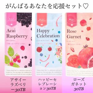 生活の木 おいしいハーブティー30袋入り×3種セット