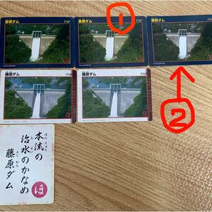 ダムカード【バラ売り可】群馬県 藤原ダムカード6枚 奈良俣ダム6枚缶バッチ2つ 矢木沢ダム3枚 天皇陛下
