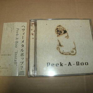 送料込み CD Peek-A-Boo Install