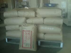令和３年　茨城産　マンゲツモチ　玄米　30kg　引き取り限定　新米　もち米　満月餅　満月モチ　田もち 数量限定　有機肥料　減農薬栽培 