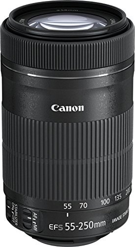 CANON EF-S55-250mm F4-5.6 IS STM オークション比較 - 価格.com