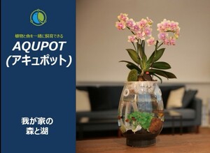 アキュポット(AQUPOT) S　金魚鉢+植木鉢　加湿と空気清浄効果!!