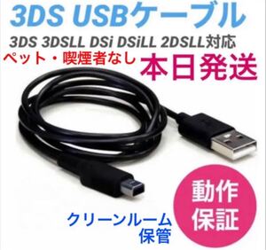∞本日発送 新品 任天堂 3DS 2DS本体用USB充電器ケーブル