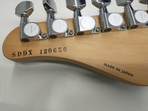 エレキギター　SCHECTER　SD-DX_画像10