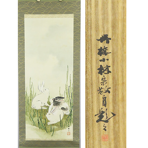 Art hand Auction B-1836 [正品] 小林五协, 手绘丝绸, 颜色浅, 兔子图片, 带盒, 挂轴/日本画家, 京都, 四条学校, 老师, 四条学校, 动物画, 书法, 绘画, 日本画, 花鸟, 野生动物