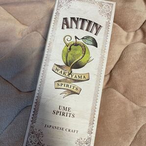 HYDE ANTIN 新品未開封