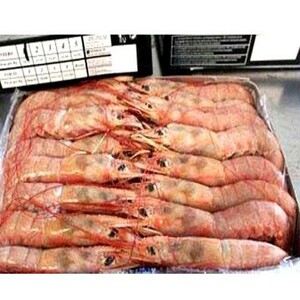 12kg ice less!] Argentina red shrimp [10/20] large red shrimp.!. roasting! salt roasting!