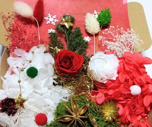 P ハーバリウム 花材 詰め合わせ Xmas 022