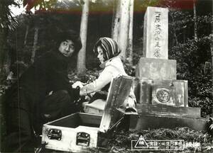 石井真由美の値段と価格推移は 28件の売買情報を集計した石井真由美の価格や価値の推移データを公開 石井真由美の値段と価格推移は 28件の売買情報を集計した石井真由美の価格や価値の推移データを公開