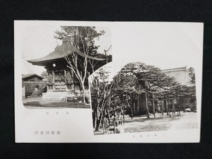 ｈ▲　戦前絵葉書　新発田名所　安兵衛松　義士堂　建造物　神社仏閣　松の木　風景　光景　景色　新潟県　/pc112