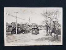 ｈ▲　戦前絵葉書　都の櫻　三宅坂　桜花　路面電車　街並み　東京　風景　光景　/pc93_画像1