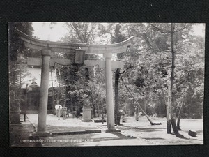 ｈ▲　戦前絵葉書　県社式内篠座神社(福井県大野町)　建造物　神社仏閣　鳥居　風景　光景　レトロ　アンティーク　/pc87