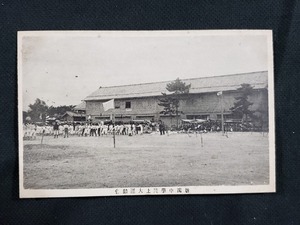 ｈ▲　戦前絵葉書　新潟中学陸上大運動会　生徒　行事　競技　風景　光景　新潟県　レトロ　アンティーク　/pc82