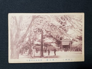 ｈ▲　戦前絵葉書　秋田　千秋公園　招魂社前の桜花　桜　鳥居　神社仏閣　風景　光景　景色　レトロ　アンティーク　/pc80