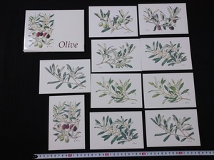 ｆ▲　絵葉書　Olive　オリーブ　10枚　レトロ・アンティーク・コレクション/AB02