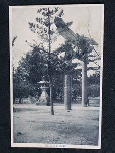 ｈ▲　戦前絵葉書　新潟白山公園　建造物　神社仏閣　鳥居　風景　光景　景色　/pc114