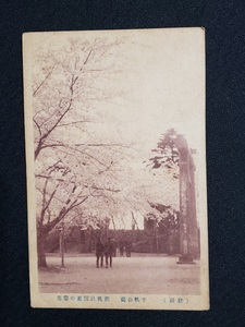 ｈ▲　戦前絵葉書　秋田　千秋公園　招魂社附近の桜花　桜　建造物　風景　光景　景色　レトロ　アンティーク　/pc80