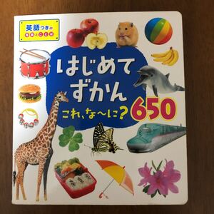はじめてずかんこれな〜に?650 英語つきの写真とことば