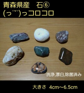 青森県産　石⑥(* >ω<)っコロコロ