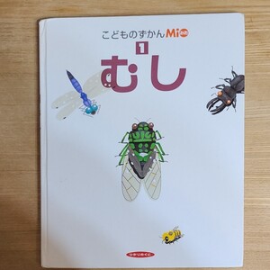 こどものずかん むし ひかりのくに