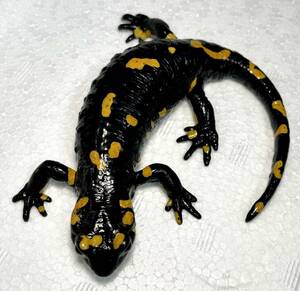 big! A-4 ★★★ Fire Sala Mandar ★★★ Overned Bioma-Amphibian Madara Fire Sala Manda Europe Salamander