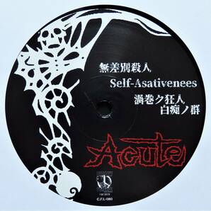 【2019年限定再発盤/岡崎ハードコア/保存状態良好盤】 ACUTE / みだらの画像6