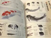 趣味の水墨画　1996/5　鯉を描く/蕪村筆「新緑杜鵑図」大嶋月庵_画像5