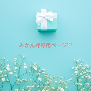 みかん様専用ページ