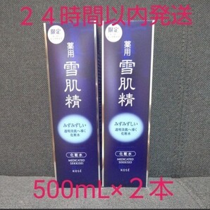 KOSE 薬用 雪肌精 ビックサイズ 化粧水 500ml 2本