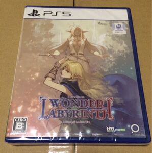 【同梱可能】ロードス島戦記 ーディードリット・イン・ワンダーラビリンスー 新品未開封 PS5 PlayStation5