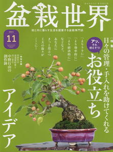 [ bonsai world ]2021.11 *. position .. I der 