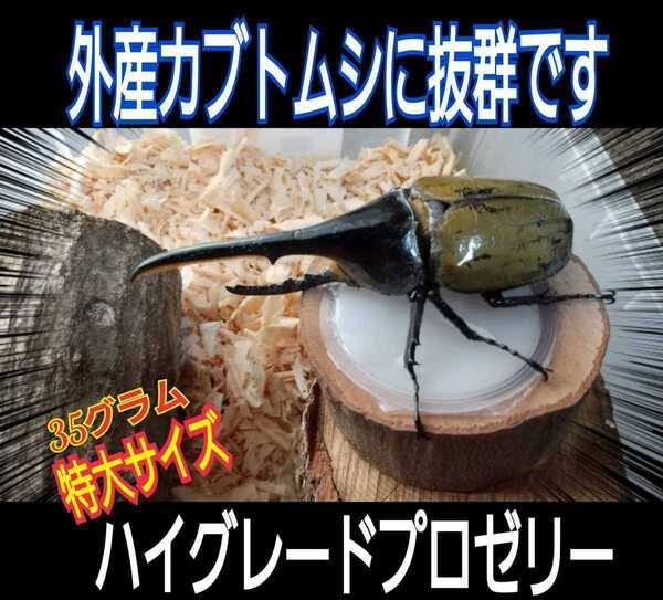 送料無料☆超特大ハイグレードプロゼリー☆65g 通常の4倍!成分に拘ったプロ仕様☆トレハロース増量!産卵促進・長寿・体力増進に☆100個