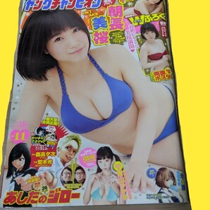 ヤングチャンピオン 朝長美桜 ＡＫＢ４８ ＨＫＴ４８ 青山ひかる ポスター クリアファイル グラビア アイドル