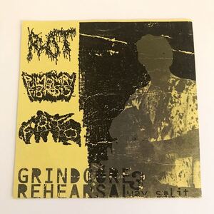 【ゴアグラインド/グラインドコア】Pulmonary Fibrosis & Forever Annihilating The Obese & Rot / Grindcore Rehearsal 3 Way Split