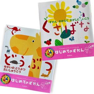 あそびのおうさまずかんシリーズ 2冊【 どうぶつ 】【 くさばな 】学研 はじめての図鑑
