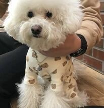 犬服 秋冬 おしゃれ かわいい トレーナー 小型犬 くま柄 あたたかい M 犬_画像2