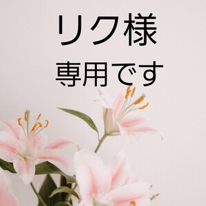 立体インナーハンドメイド (リク様専用)