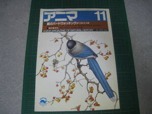 アニマ　1984年11月号　特集：庭のバードウォッチング　平凡社