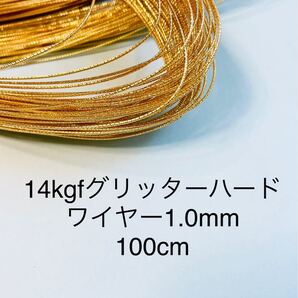 NO.W10★14kgfグリッターハードワイヤー1.0mm 100cm