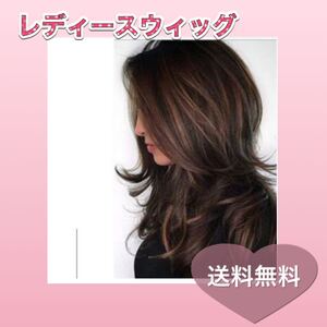 ウィッグ レディース ハイライト エクステ ダークブラウン ヘアネット付き